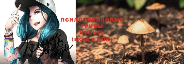 первитин Володарск