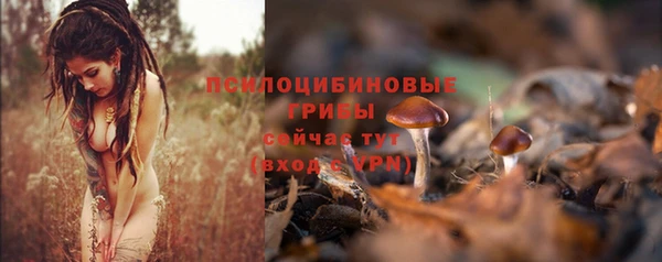прущая мука Снежногорск