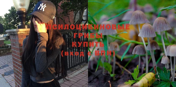 тгк Волосово